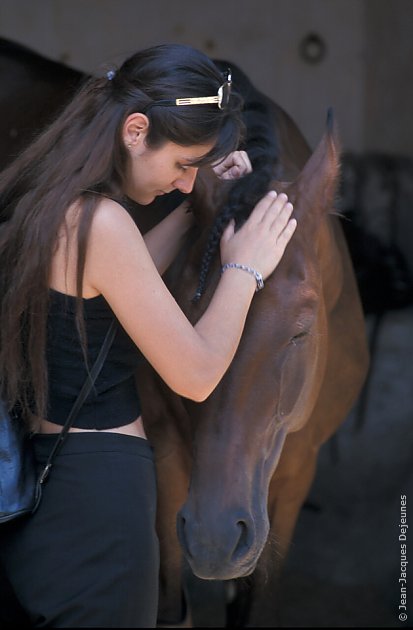 Tendresse