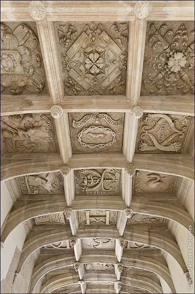 Plafond de la galerie.