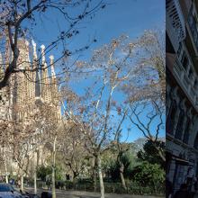 Vue sur la Sagrada Família