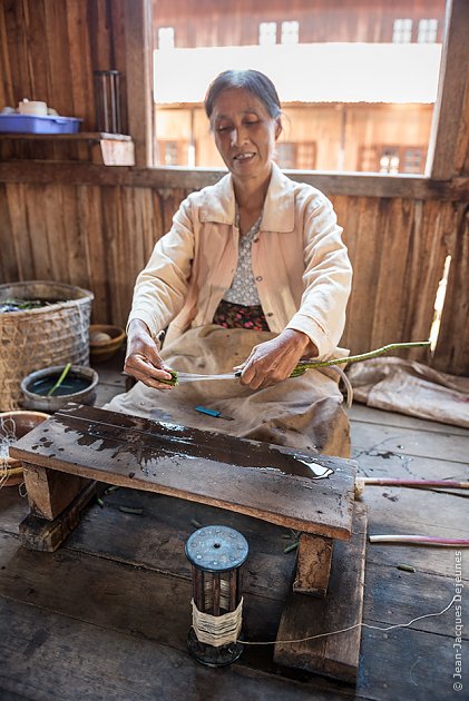 Atelier de soie et lotus