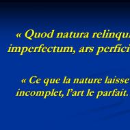 L'art et la nature