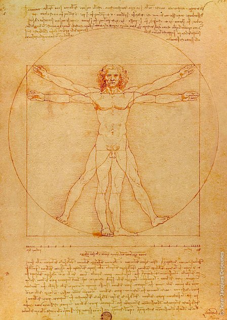 "Homme de Vitruve" d'après Léonard de Vinci