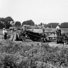 1930 - Battage chez Prosper Dupuis