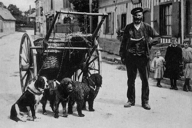  1917 - Le marchand de poissons