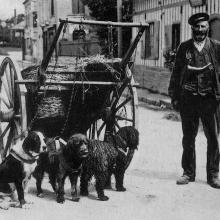  1917 - Le marchand de poissons