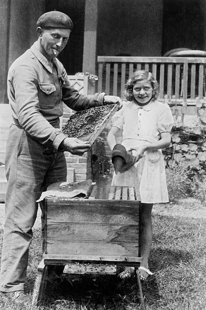 1943 - L'apiculteur