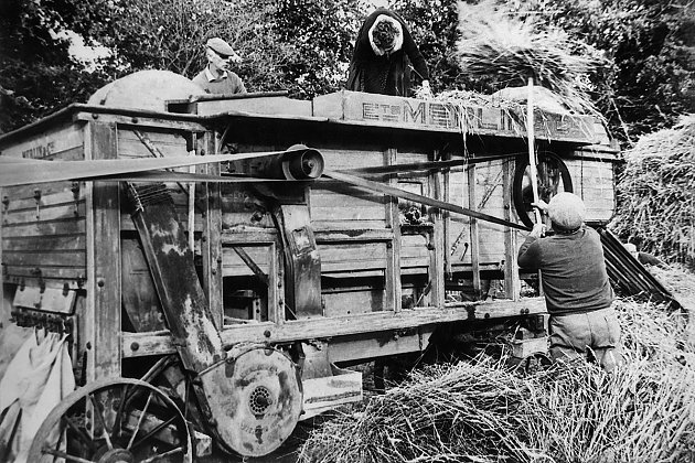 1950 - Batteuse à grain