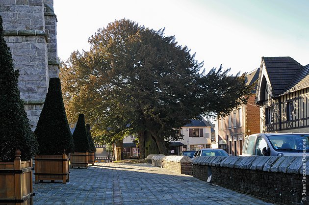 Parvis de l'église