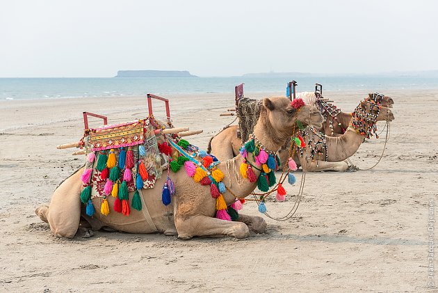 Sur la plage