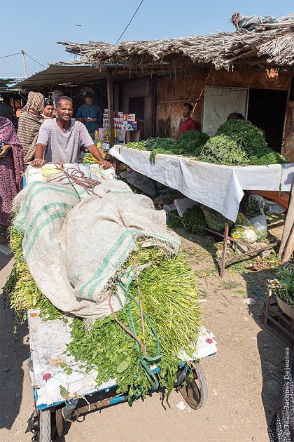 Marché de Minâb