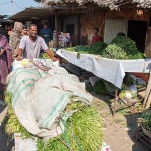 Marché de Minâb