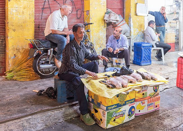 Marché à la volaille