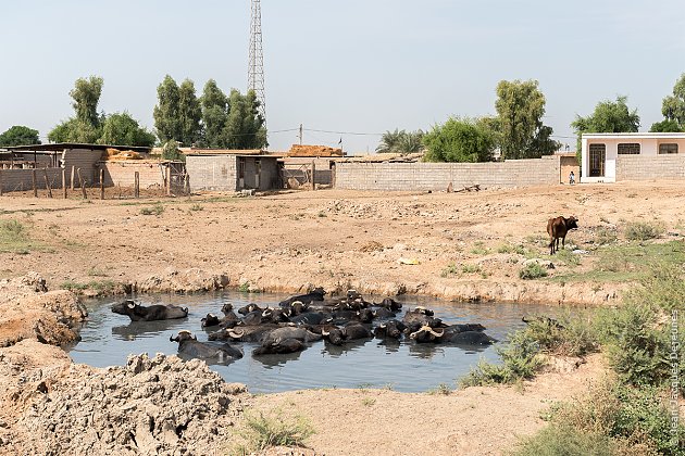 Vers Choqâ Zanbil