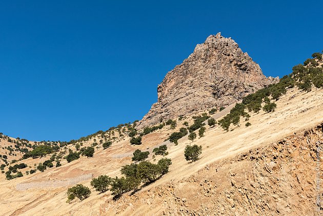 Les monts Zagros