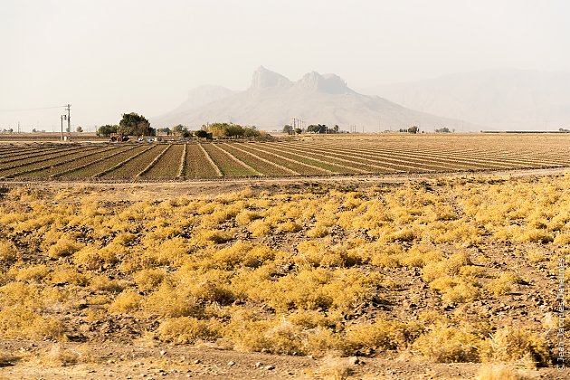 Cultures au seuil du désert