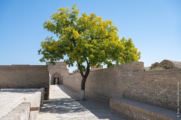 Au sortir de la khazira de Djouïbar Sayid