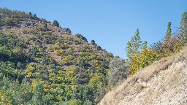 La route du Sud M-39