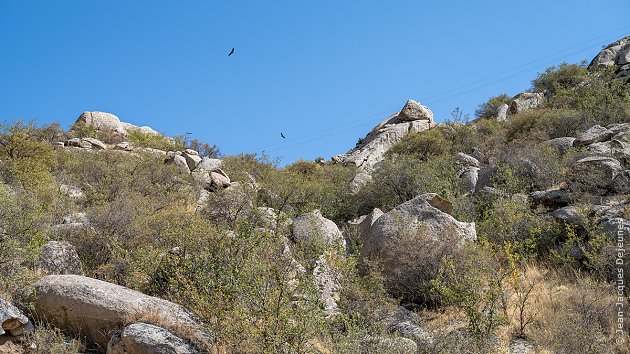 La route du Sud M-39