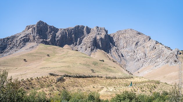 Avant d'arriver à Chakhrisabz # 1