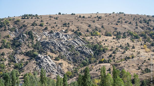 La route du Sud M-39