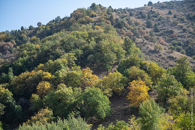 La route du Sud M-39