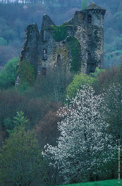 Ruines