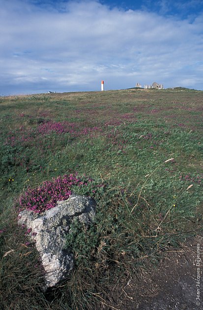 Lande, ruines et amer 2