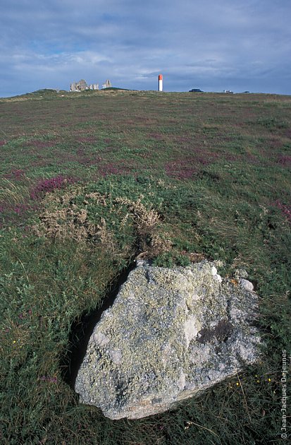 Lande, ruines et amer