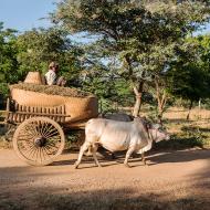 Birmanie - Inwa