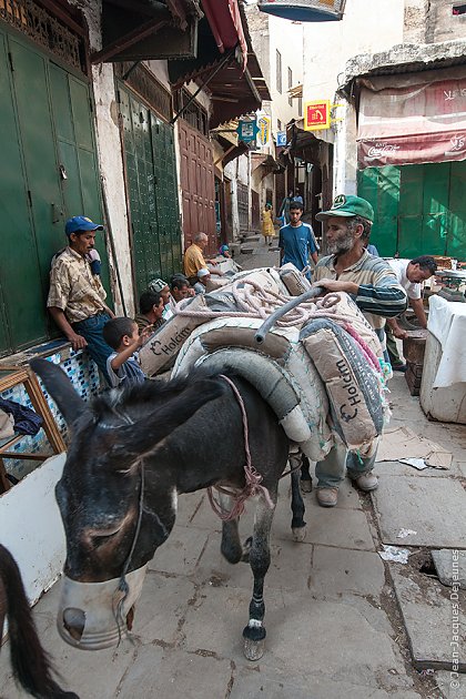 Fès