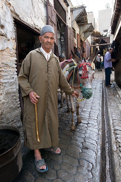 Fès